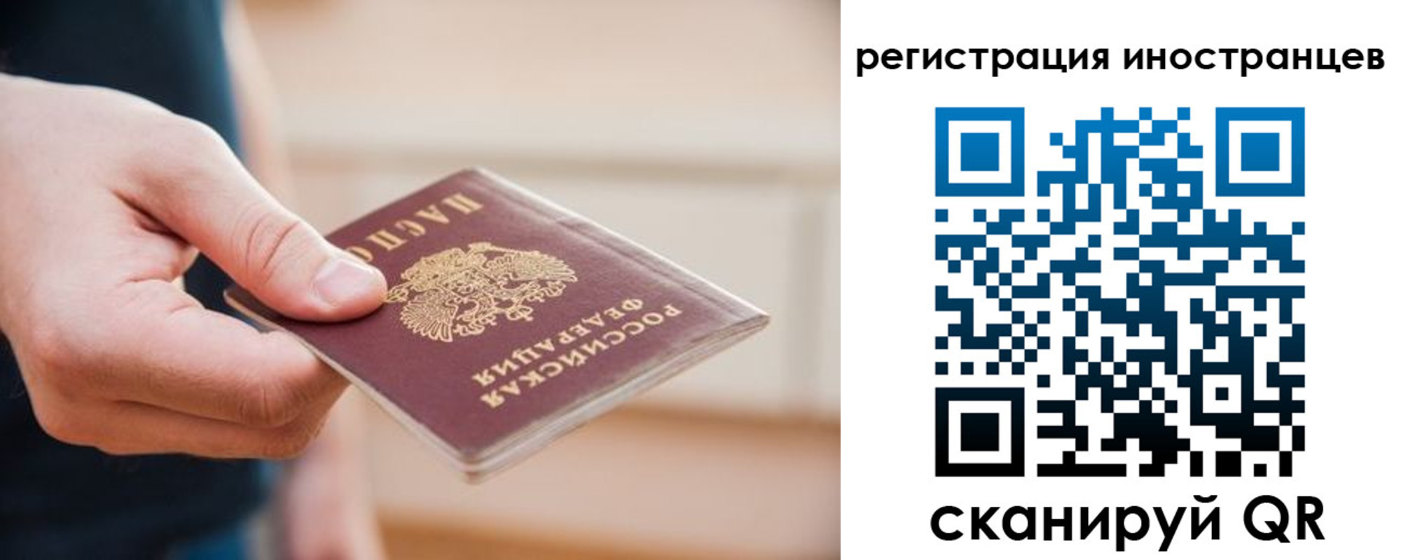 прописка гарантия в Жирновске